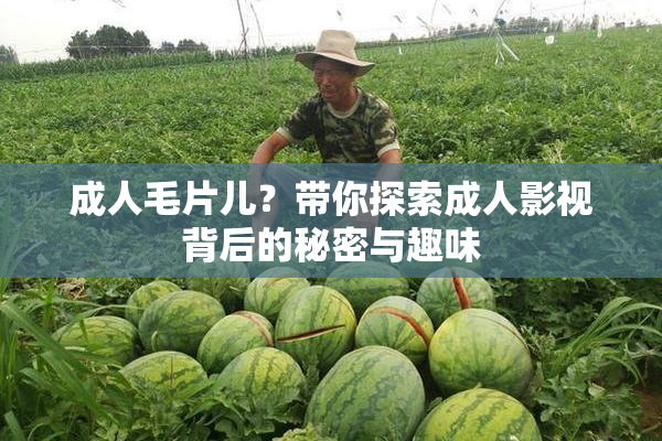 成人毛片儿？带你探索成人影视背后的秘密与趣味