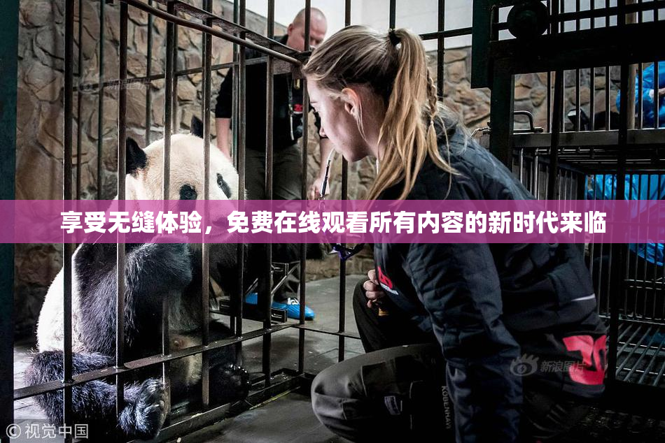 享受无缝体验，免费在线观看所有内容的新时代来临