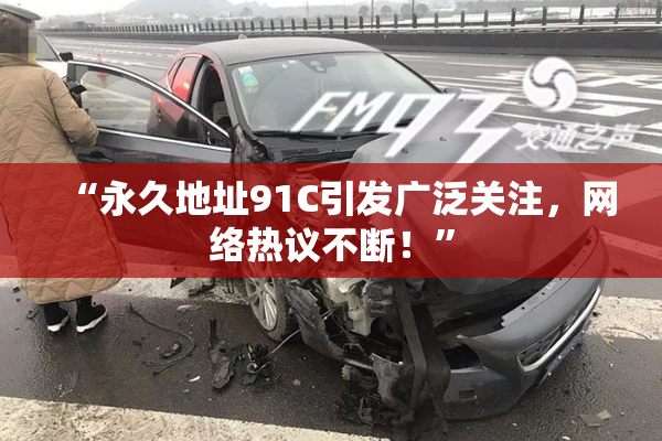 “永久地址91C引发广泛关注，网络热议不断！”