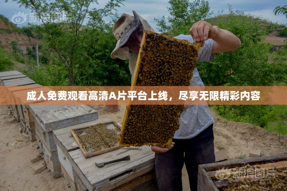 成人免费观看高清A片平台上线，尽享无限精彩内容