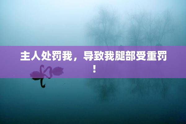 主人处罚我，导致我腿部受重罚！
