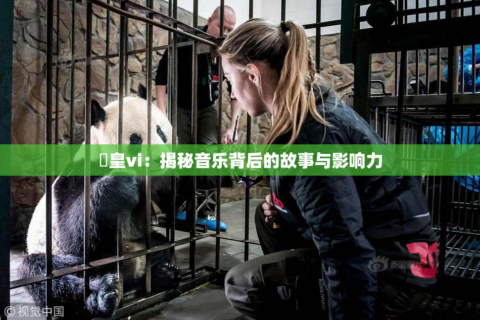嘼皇vi：揭秘音乐背后的故事与影响力