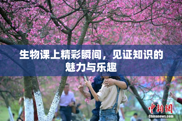生物课上精彩瞬间，见证知识的魅力与乐趣