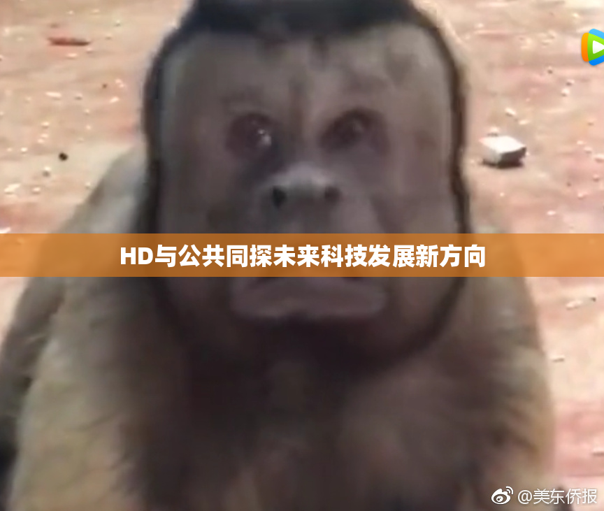 HD与公共同探未来科技发展新方向