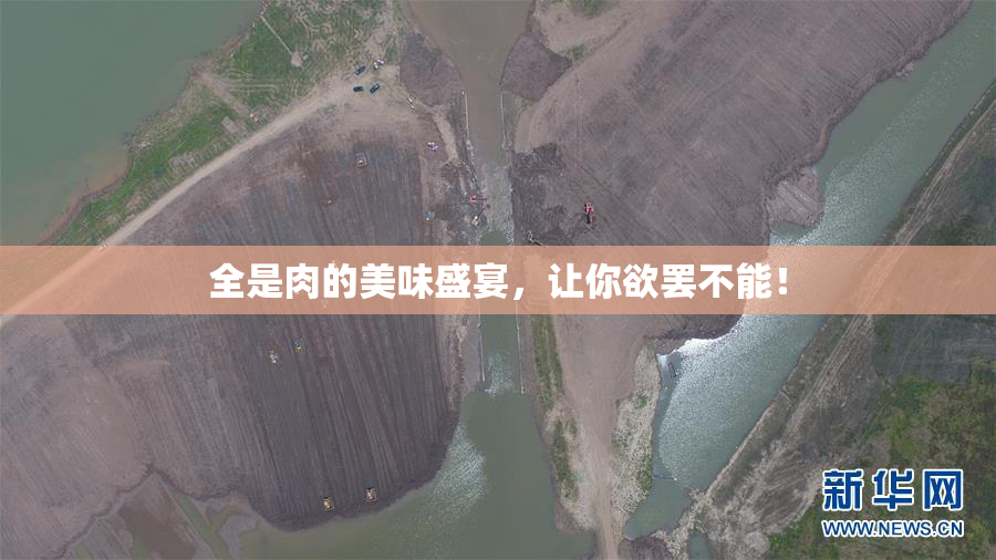 全是肉的美味盛宴，让你欲罢不能！