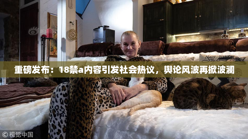 重磅发布：18禁a内容引发社会热议，舆论风波再掀波澜