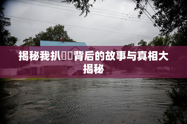 揭秘我扒妺妺背后的故事与真相大揭秘