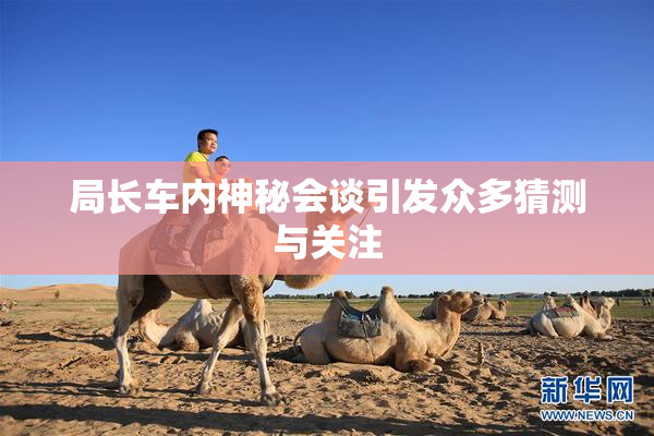 局长车内神秘会谈引发众多猜测与关注