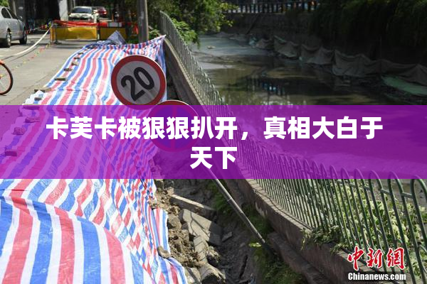 卡芙卡被狠狠扒开，真相大白于天下