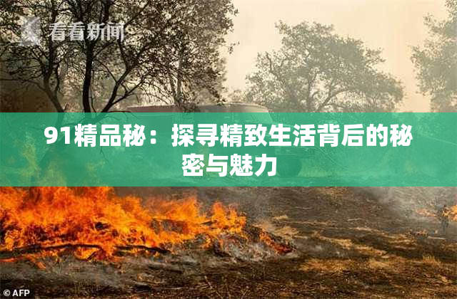 91精品秘：探寻精致生活背后的秘密与魅力