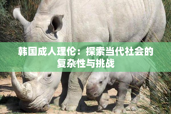韩国成人理伦：探索当代社会的复杂性与挑战