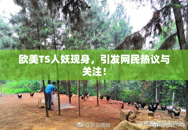 欧美TS人妖现身，引发网民热议与关注！