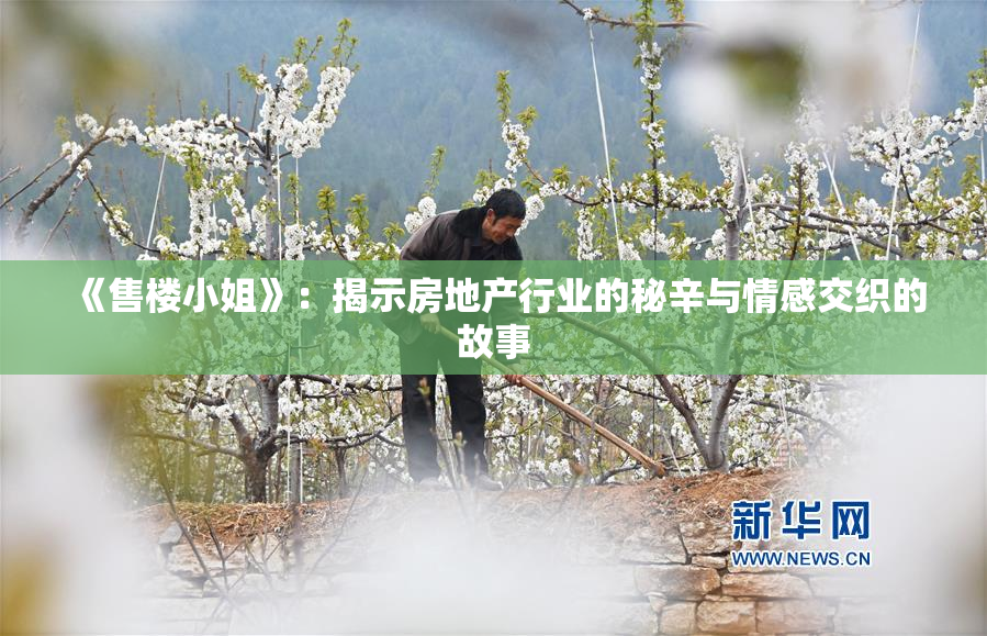 《售楼小姐》：揭示房地产行业的秘辛与情感交织的故事