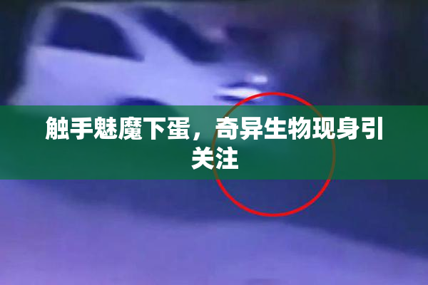 触手魅魔下蛋，奇异生物现身引关注