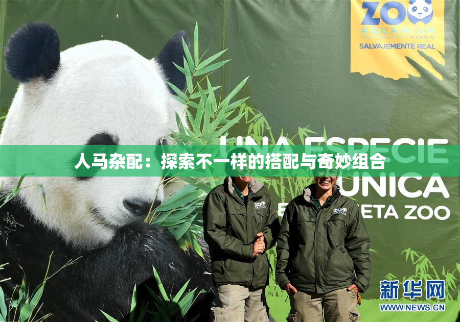 人马杂配：探索不一样的搭配与奇妙组合