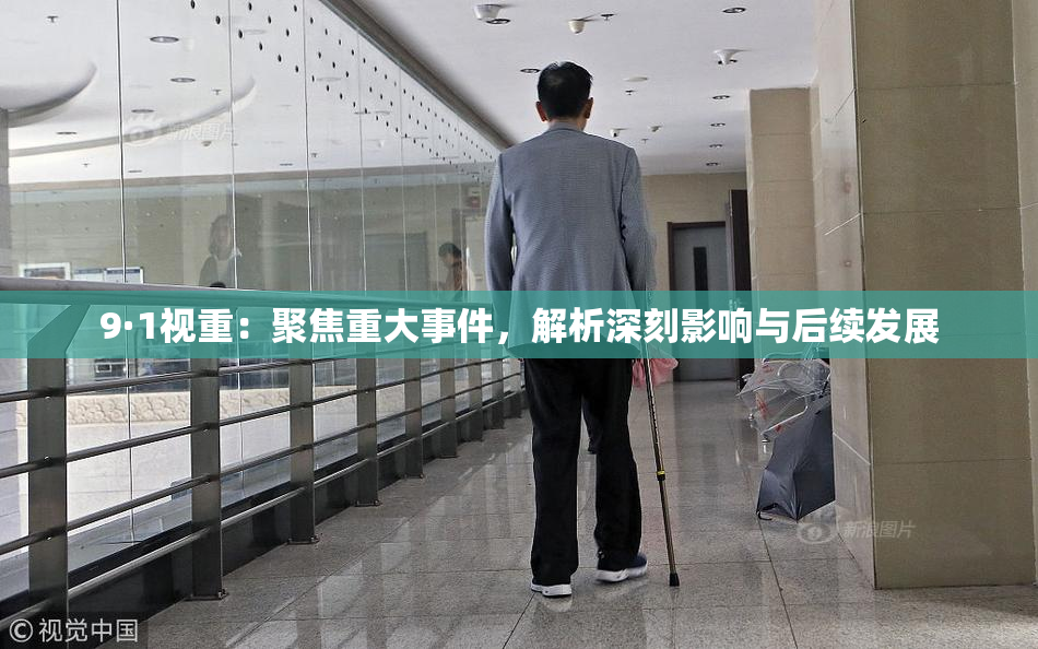 9·1视重：聚焦重大事件，解析深刻影响与后续发展