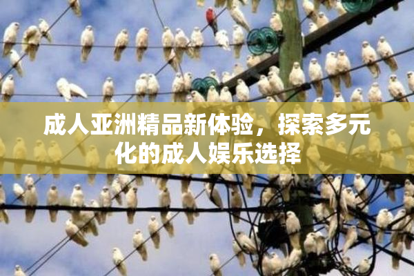 成人亚洲精品新体验，探索多元化的成人娱乐选择