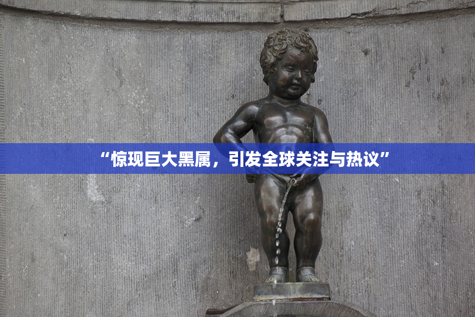 “惊现巨大黑属，引发全球关注与热议”