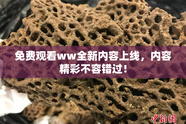 免费观看ww全新内容上线，内容精彩不容错过！
