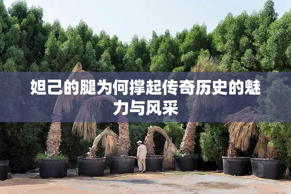 妲己的腿为何撑起传奇历史的魅力与风采