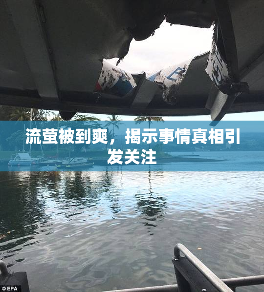 流萤被到爽，揭示事情真相引发关注