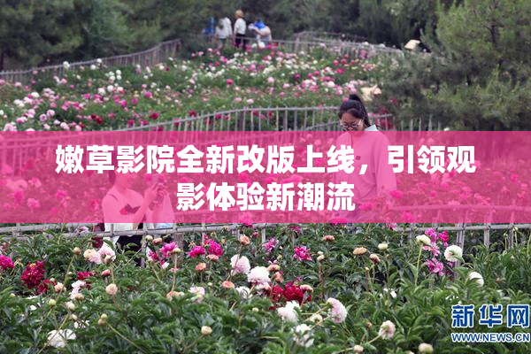 嫩草影院全新改版上线，引领观影体验新潮流
