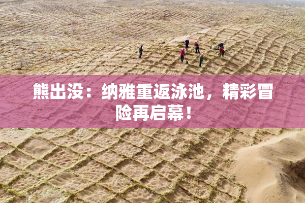 熊出没：纳雅重返泳池，精彩冒险再启幕！