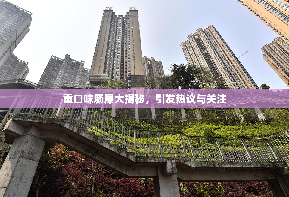 重口味肠屎大揭秘，引发热议与关注