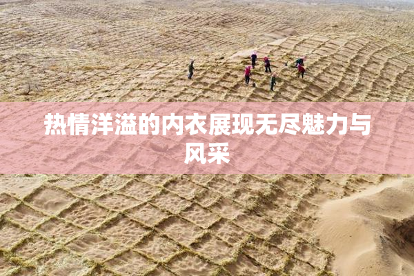 热情洋溢的内衣展现无尽魅力与风采