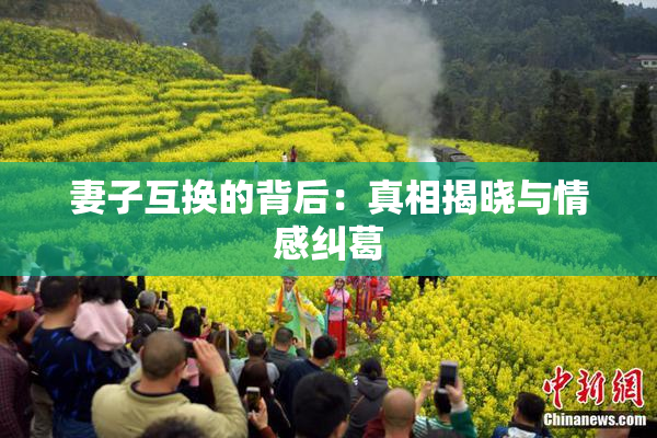 妻子互换的背后：真相揭晓与情感纠葛