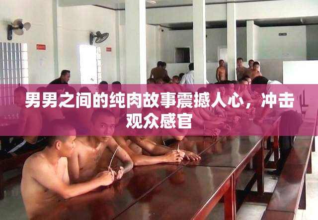 男男之间的纯肉故事震撼人心，冲击观众感官