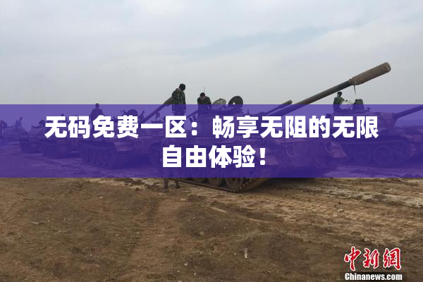 无码免费一区：畅享无阻的无限自由体验！