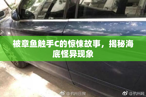被章鱼触手C的惊悚故事，揭秘海底怪异现象