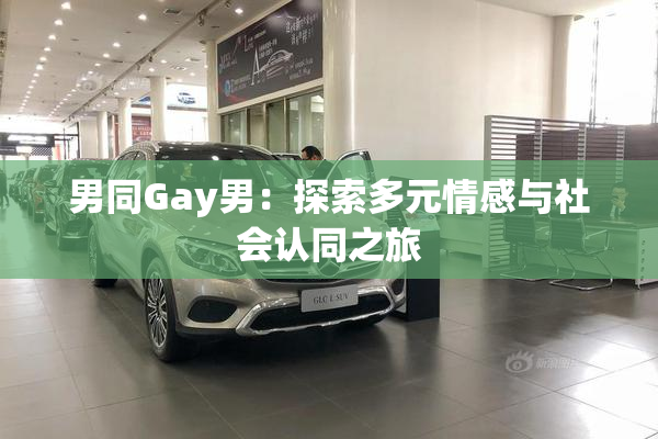 男同Gay男：探索多元情感与社会认同之旅