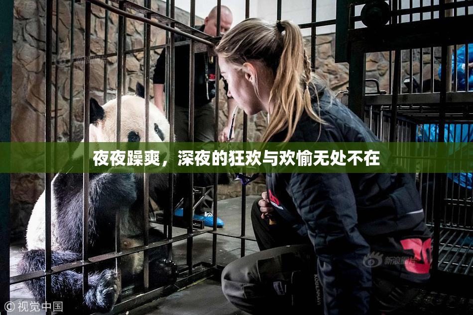 夜夜躁爽，深夜的狂欢与欢愉无处不在