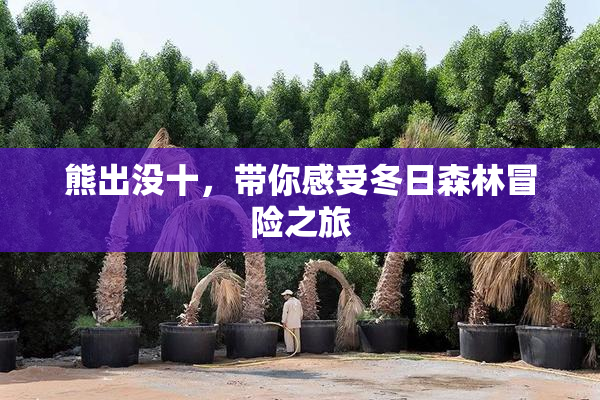 熊出没十，带你感受冬日森林冒险之旅