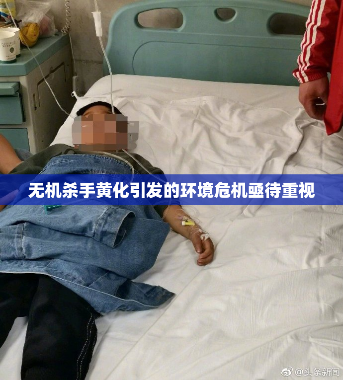 无机杀手黄化引发的环境危机亟待重视