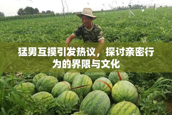 猛男互摸引发热议，探讨亲密行为的界限与文化