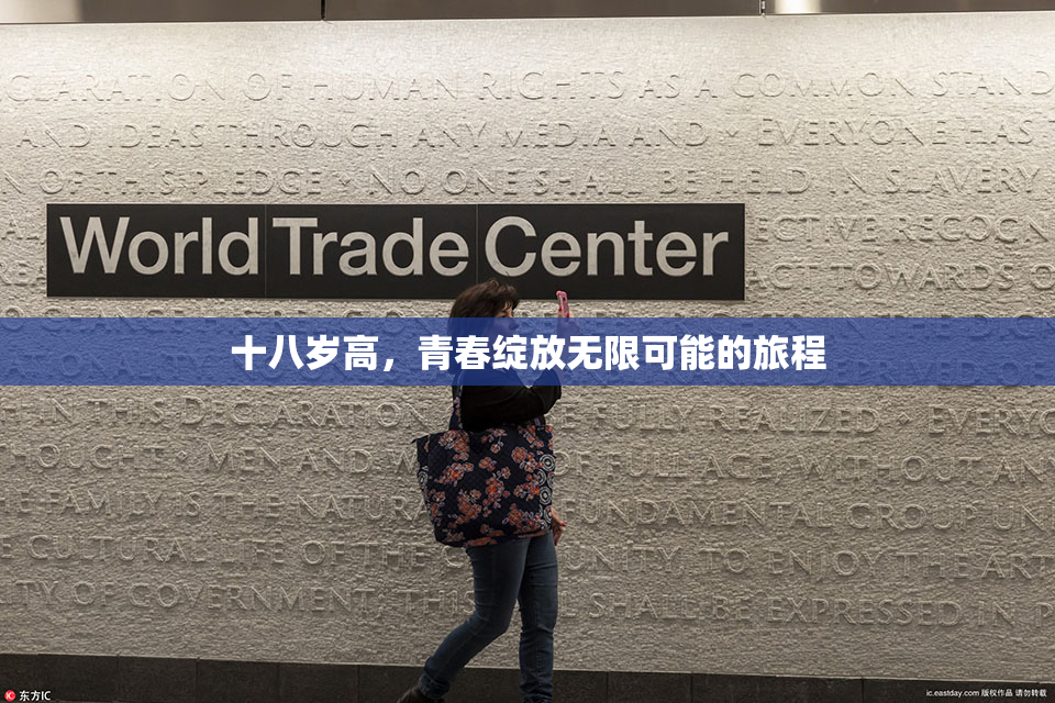 十八岁高，青春绽放无限可能的旅程