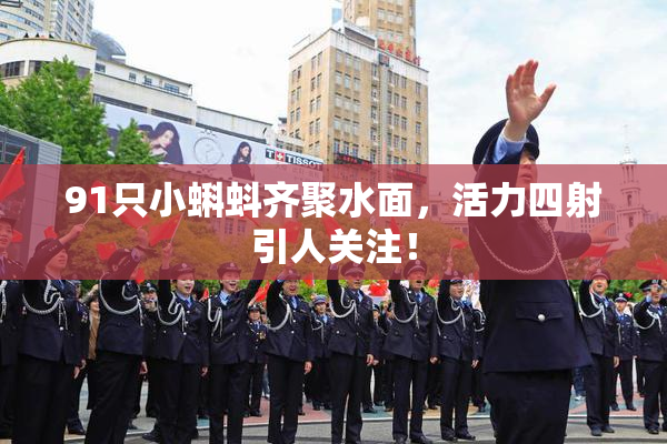 91只小蝌蚪齐聚水面，活力四射引人关注！
