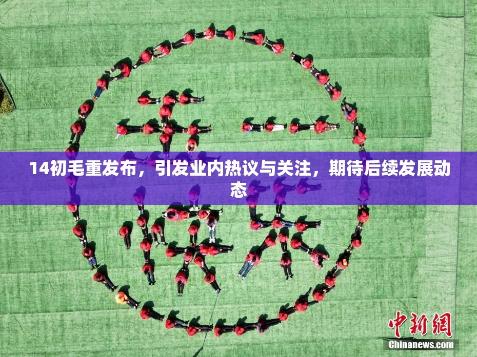 14初毛重发布，引发业内热议与关注，期待后续发展动态
