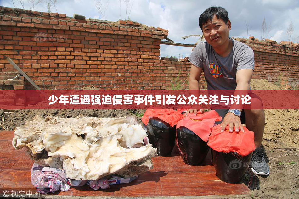 少年遭遇强迫侵害事件引发公众关注与讨论