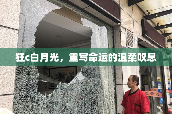 狂c白月光，重写命运的温柔叹息