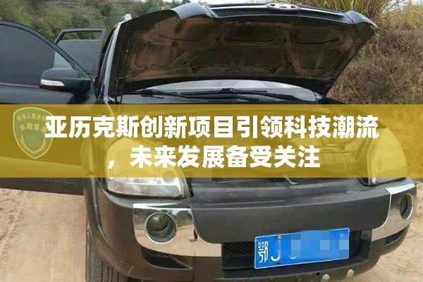 亚历克斯创新项目引领科技潮流，未来发展备受关注