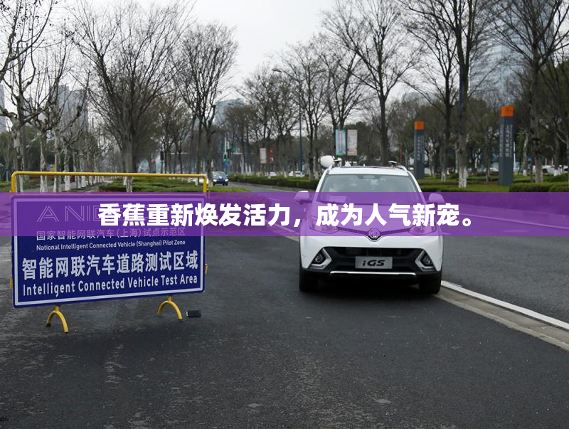 香蕉重新焕发活力，成为人气新宠。