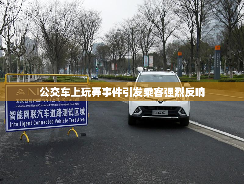 公交车上玩弄事件引发乘客强烈反响