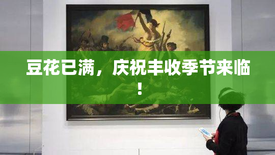 豆花已满，庆祝丰收季节来临！