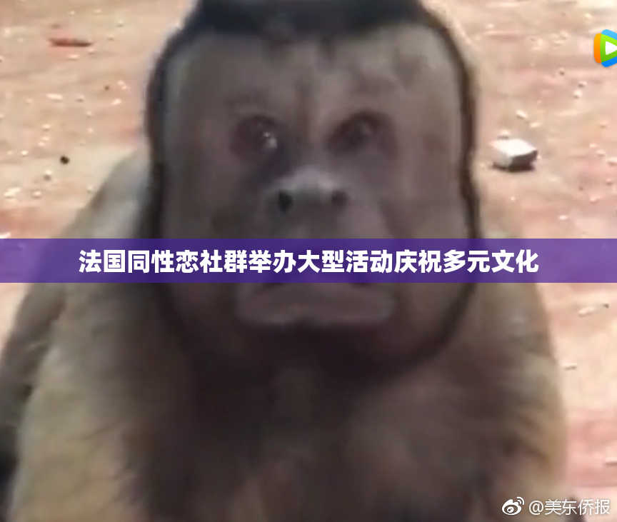 法国同性恋社群举办大型活动庆祝多元文化