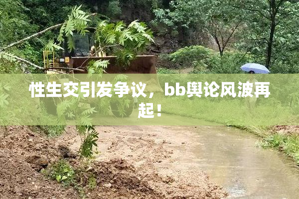 性生交引发争议，bb舆论风波再起！