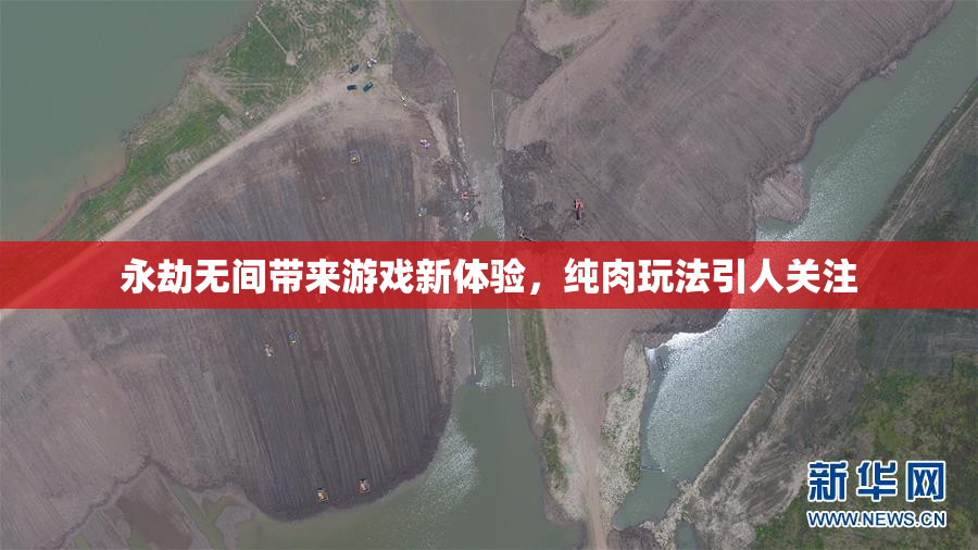 永劫无间带来游戏新体验，纯肉玩法引人关注